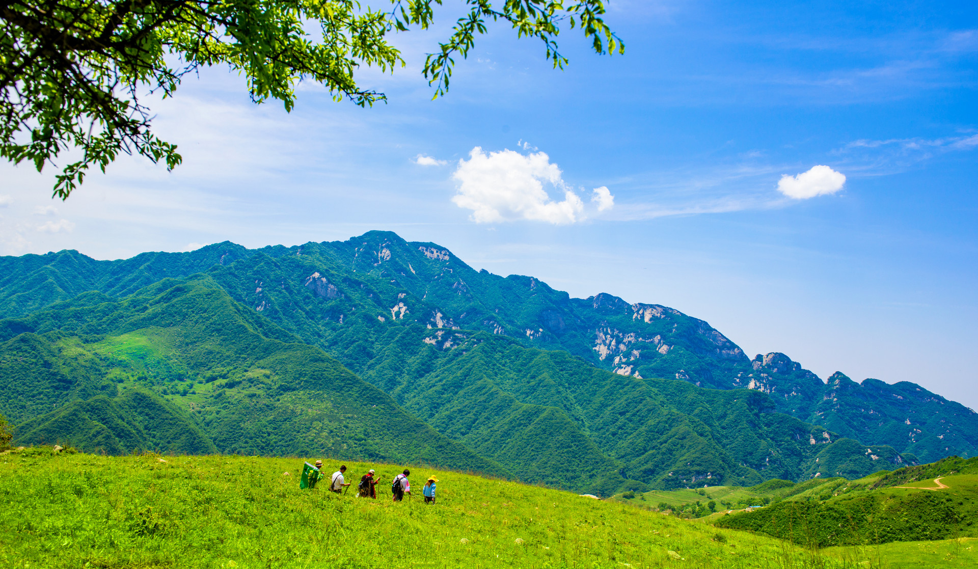 摄图网_501325512_banner_秦岭徒步观大美风光（企业商用）.jpg